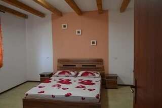 Дома для отпуска Casa Ricciotti Tritenii de Jos Двухместный номер с 1 кроватью и общей ванной комнатой-5