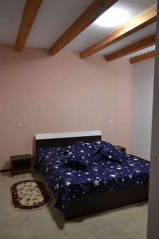 Дома для отпуска Casa Ricciotti Tritenii de Jos Двухместный номер с 1 кроватью и общей ванной комнатой-6